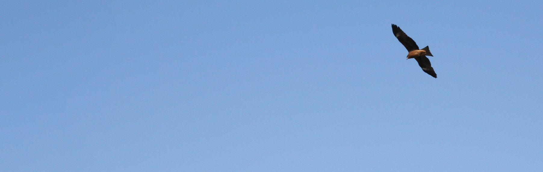 Slide background